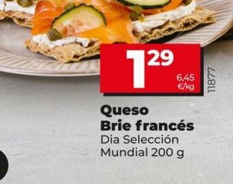 Dia Queso brie dia oferta