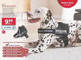 Lidl Arnés para perros zoeflair oferta