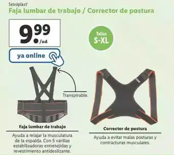 Lidl Sensiplast Faja Lumbar De Trabajo Corrector De Postura oferta