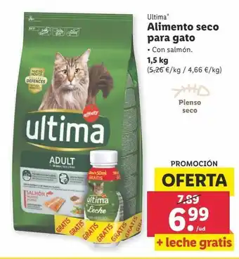 Lidl Comida para gatos última oferta