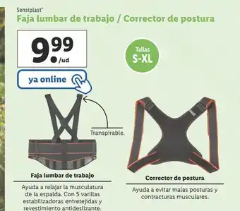 Lidl Faja lumbar de traajo sensiplast oferta