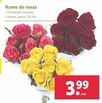 Lidl Ramo de rosas oferta