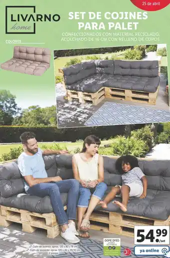 Lidl Set de cojines livarno oferta