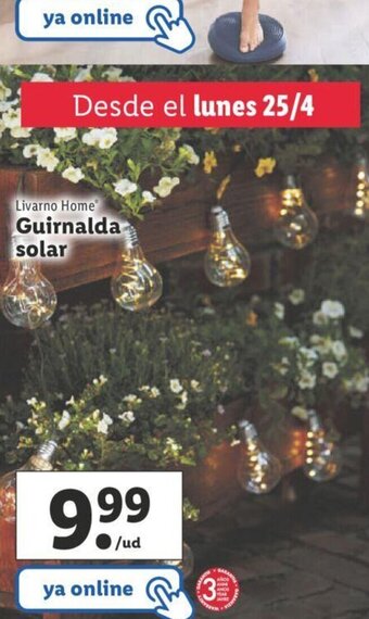 Lidl Guirnalda solar oferta