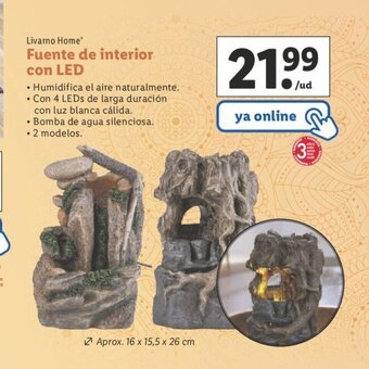 Lidl Fuente de interior con LED oferta