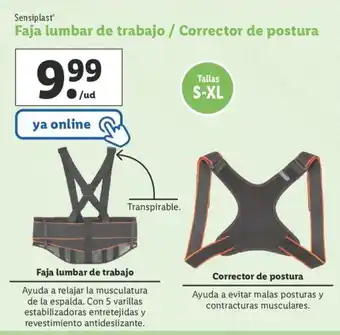 Lidl Sensiplast Faja lumbar de trabajo/Corrector de postura Tallaas S-XL oferta