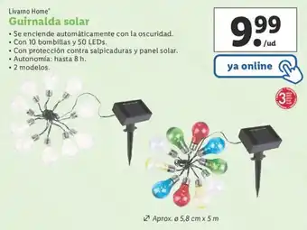 Lidl Livarno Home Guirnalda solar 2 modelos oferta