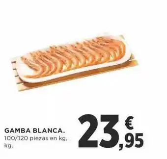 Supercor Gamba Blanca oferta