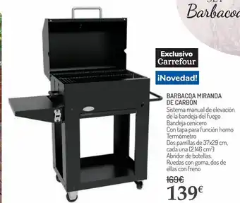 Carrefour Barbacoa miranda de carbón oferta