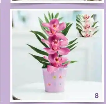 Eroski Orquídea 3 flores oferta