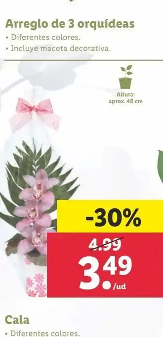 Lidl Arreglo de 3 orquideas oferta