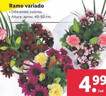 Lidl Ramo variado oferta