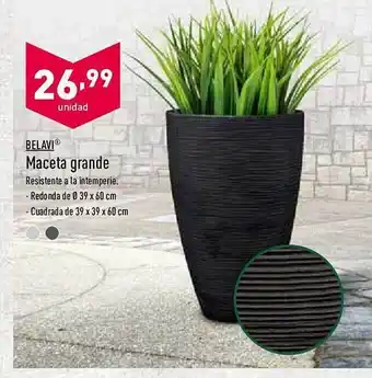 ALDI Belavi Maceta Grande oferta