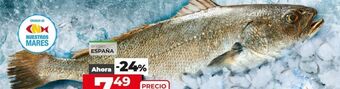 La Plaza de DIA Corvina oferta