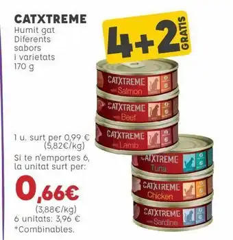 Kiwoko Húmedo gatos catxtreme oferta
