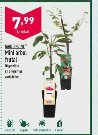 ALDI Gardenline Mini árbol Frutal oferta