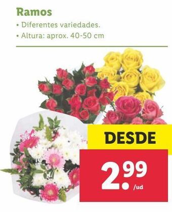 Lidl Ramo de flores oferta