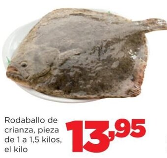 Alimerka Rodaballo de crianza, pieza de 1 a 1,5 kilos oferta