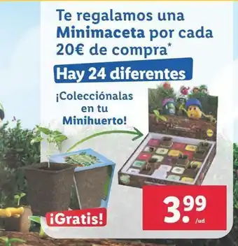 Lidl Te regala,mos una minimaceta por cada 20€ de compra oferta