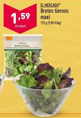 ALDI El Mercado Brotes tiernos maxi 175 g oferta