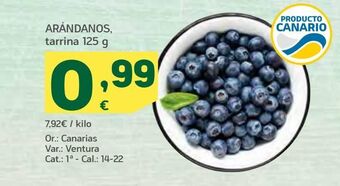 HiperDino Arándanos, tarrina 125 g oferta