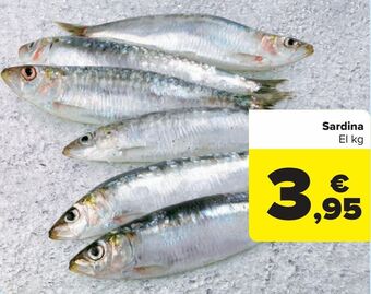 Carrefour Sardina oferta