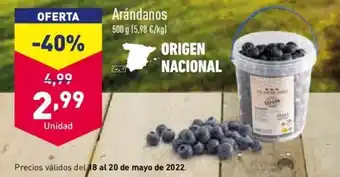 ALDI Arándanos 500g oferta
