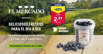 ALDI El Mercado Arándanos 500g oferta