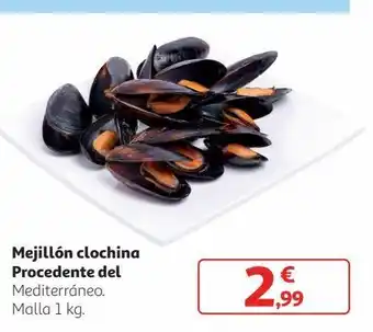 Alcampo Mejillón clochina procedente del mediterráneo oferta