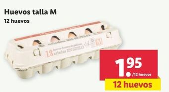 Lidl Huevos oferta