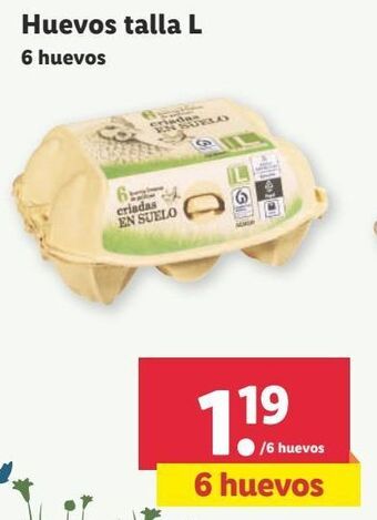 Lidl Huevos oferta