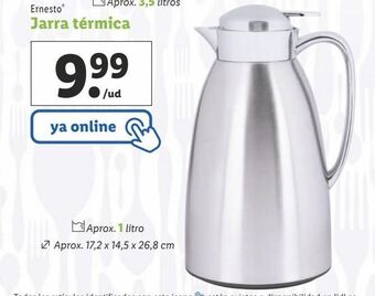 Lidl Jarra ernesto oferta