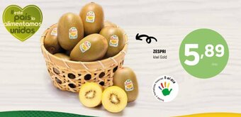 Coviran Zespri Kiwi Gold oferta