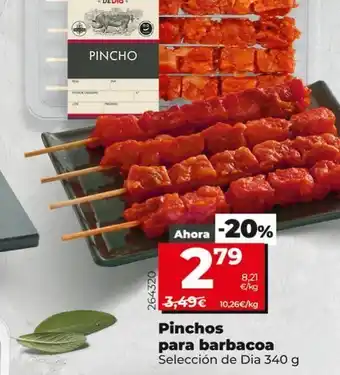 Maxi Dia Pinchos dia oferta