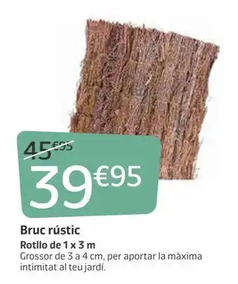 Jardiland Brezo oferta