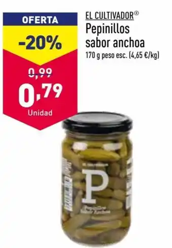 ALDI El Cultivador Pepinillos sabor anchoa 170g oferta