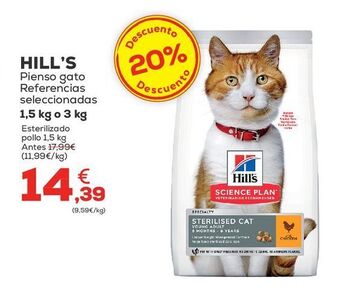 Kiwoko Pienso para gatos oferta