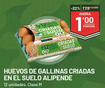 AhorraMas Huevos De Gallinas Criadas En El Suelo Alipende 12 unidades, Clase M oferta