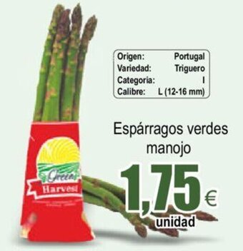 FROIZ Espárragos Verdes Manojo oferta