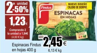 FROIZ Espinacas Findus En Hojas 400 g oferta