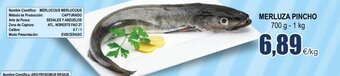 FROIZ Merluza Pincho 700 g - 1 kg oferta