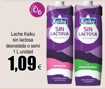 FROIZ Leche Kaiku Sin Lactosa Desnatada o Semi 1 L unidad oferta