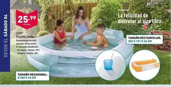 ALDI Crane Piscina Jumbo oferta