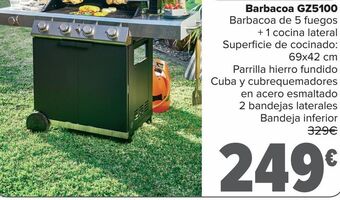 Carrefour Barbacoa gz5100 oferta