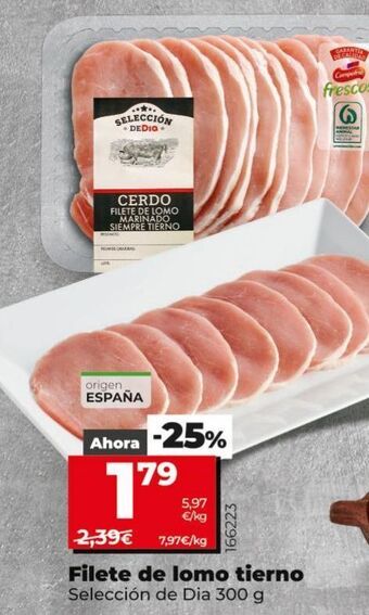Maxi Dia Lomo de cerdo dia oferta