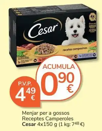 Consum Comida para perros cesar oferta