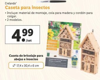 Lidl Casetas crelando oferta