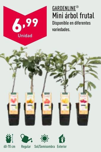 ALDI Gardenline® Mini árbol Frutal oferta