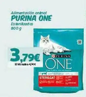Hiperber Alimentation Animal Purina One oferta