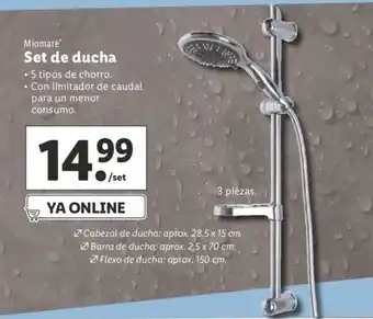Lidl Set de ducha oferta